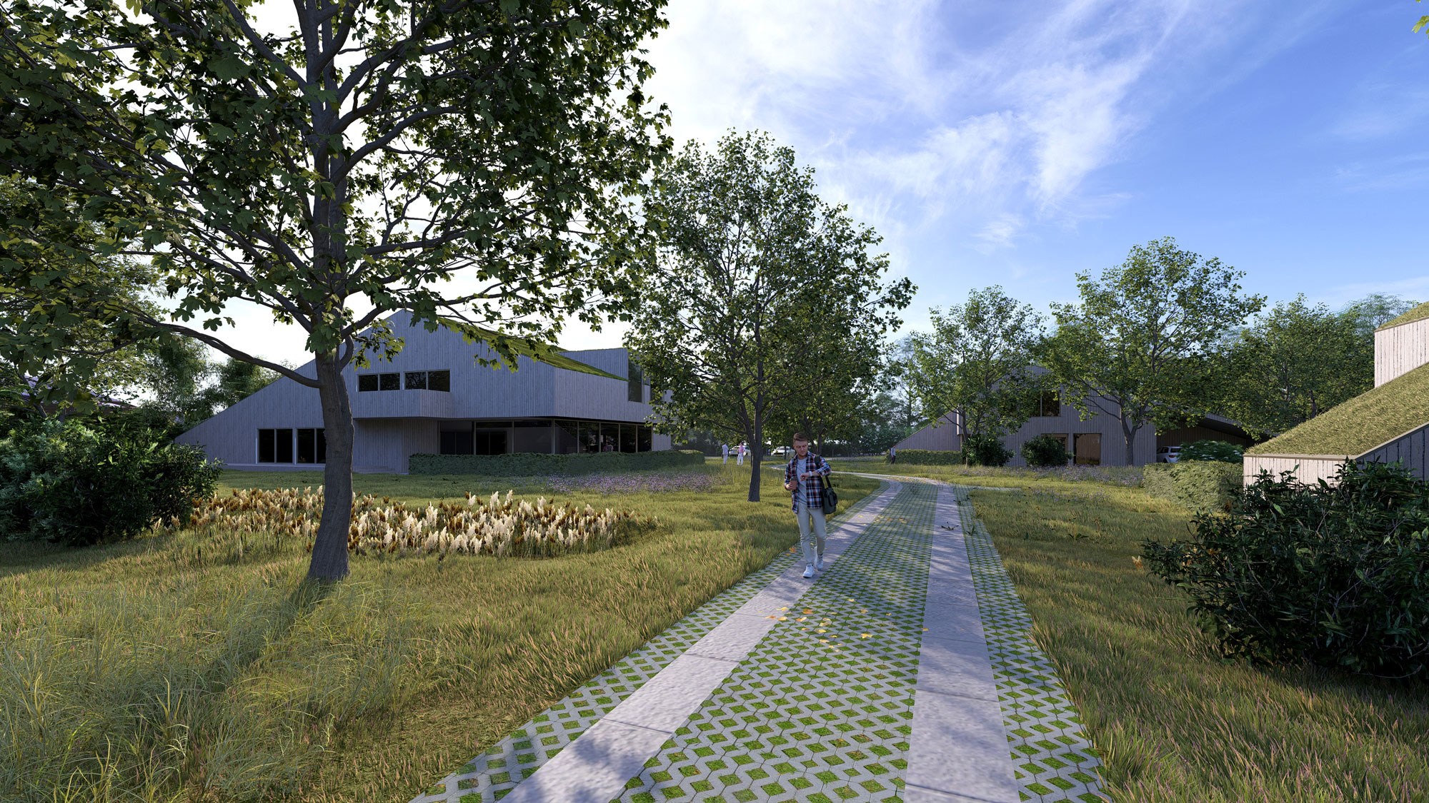 Complejo Residencial Friesland